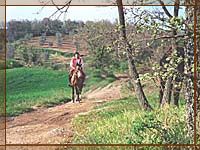 Sagra della Lenticchia